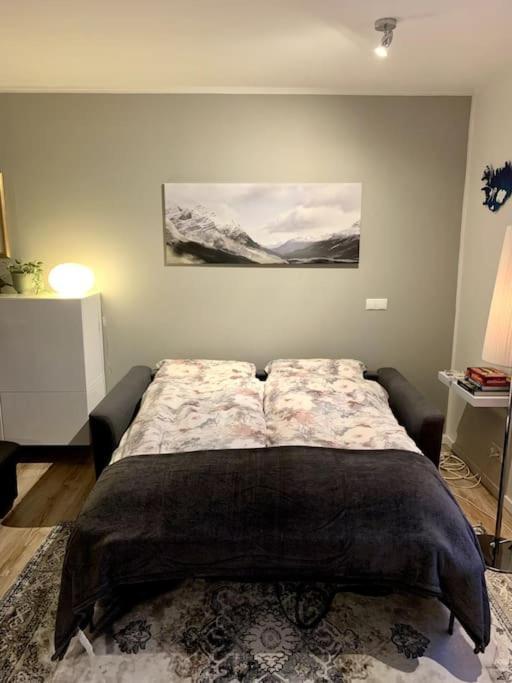 Cosy One Bedroom Apartment In Reykjavík Exteriér fotografie